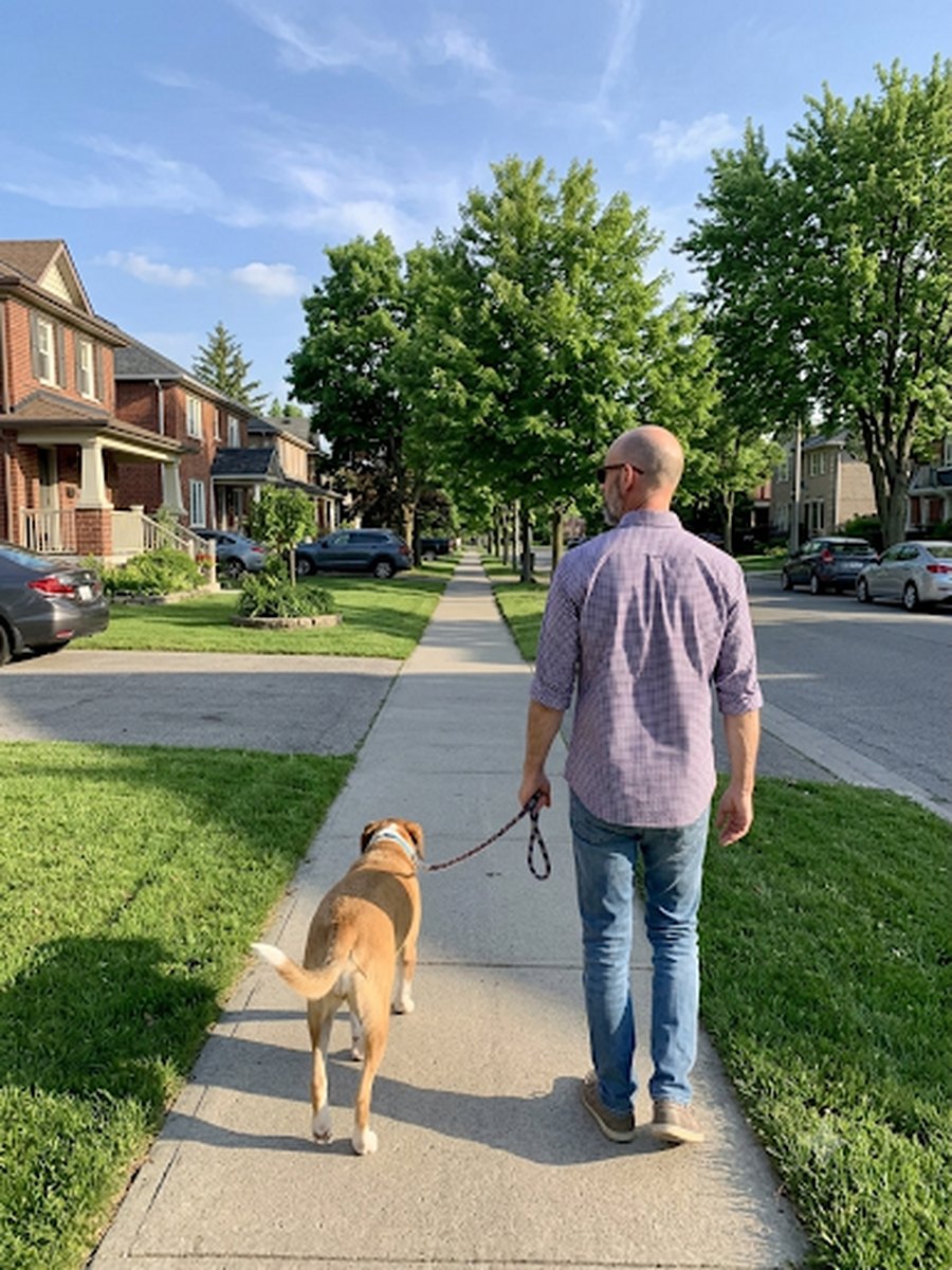 Steven Walkinshaw walking a Toronto neighbourhood with his dog Levi